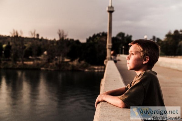 The Impact of Domestic Violence on Children