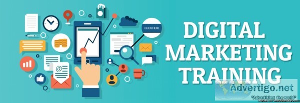 advanced wordpress training courses
