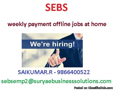 earn your money at your home also