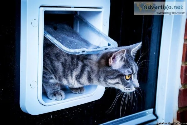 Buy Microchip Cat Flap for Glass Door