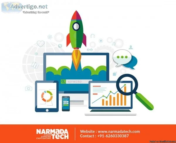 Search Engine Optimization  Best SEO Company  Narmada Tech