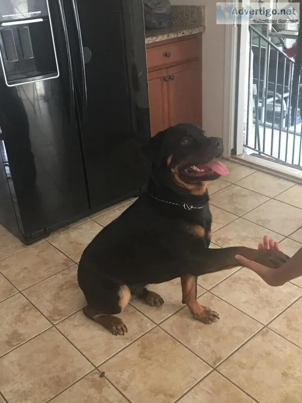 Family friend