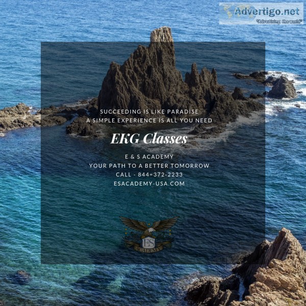 Succeeding is like Paradise - EKG Classes