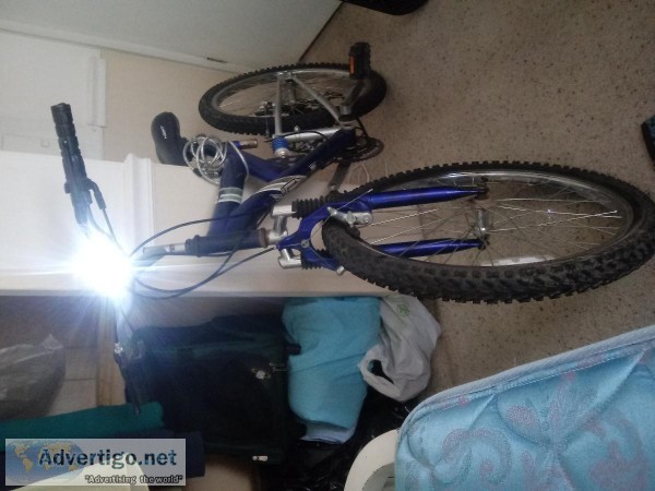 Next 24 inch mens mountain bike