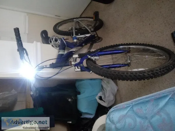 Next 24 inch mens mountain bike