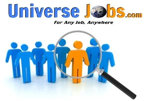 Immediate Requirement for Dot Net Developers