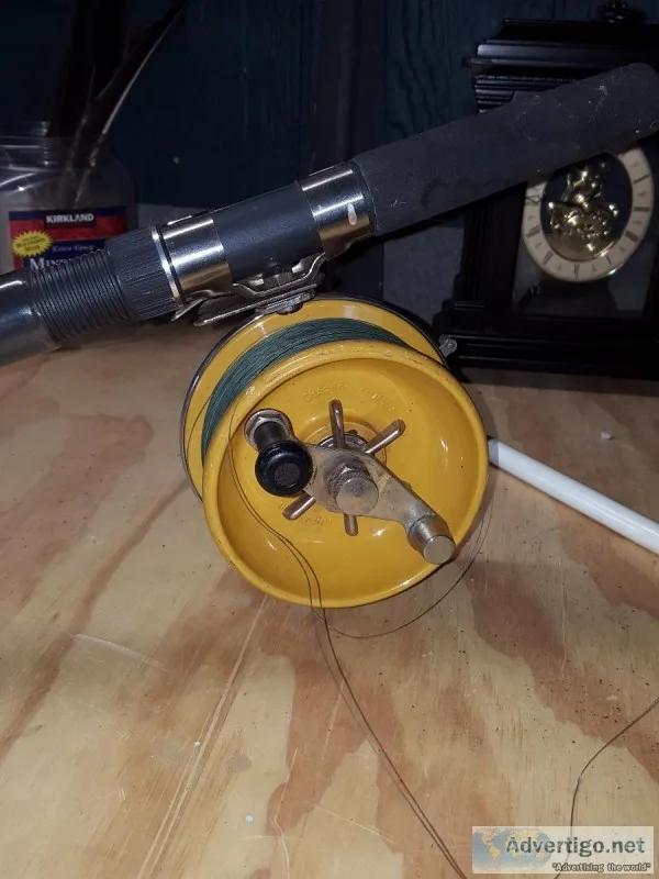 Alvey 550-C5 side casting reel and surf pole.