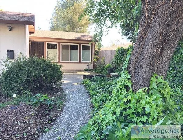 3 beds 2 bats for single family for rent in Davis CA 95616