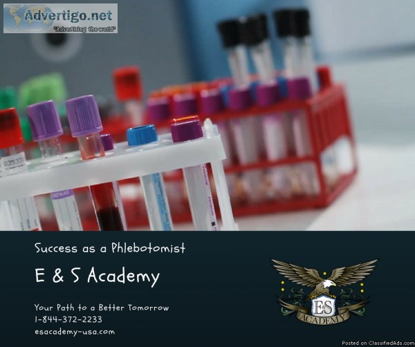 4 Week Phlebotomy Training Program - Join Today