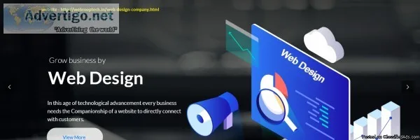 ecommerce website designing company in delhi