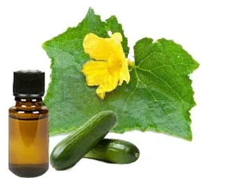 Make Your Skin Glowing with Cucumber Essential Oil