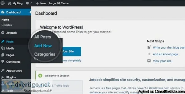 wordpress training institute in delhi