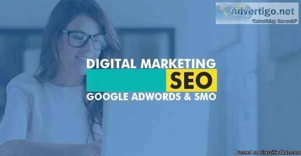 SEO Company in Delhi