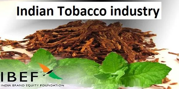 Tobacco Industry And Exports India  Tobacco in India