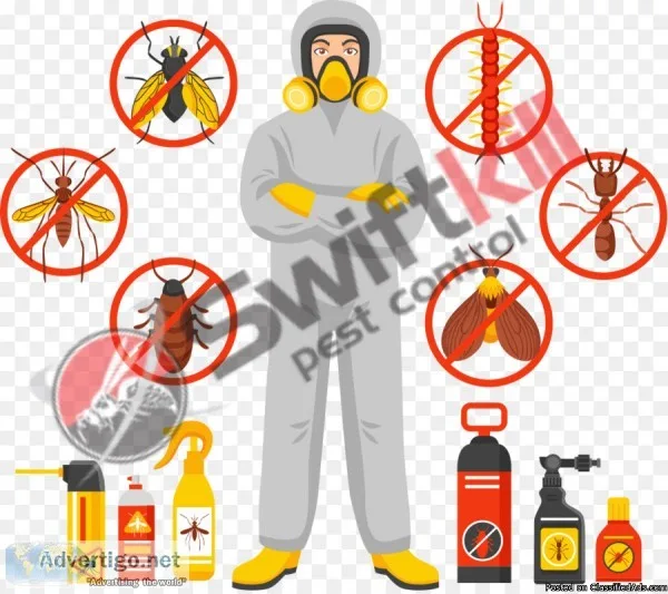 Best Pest Control Services in Maidstone