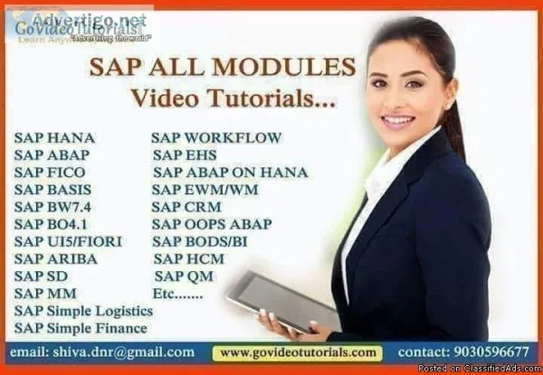 sap bpc 11 embedded  tutorials