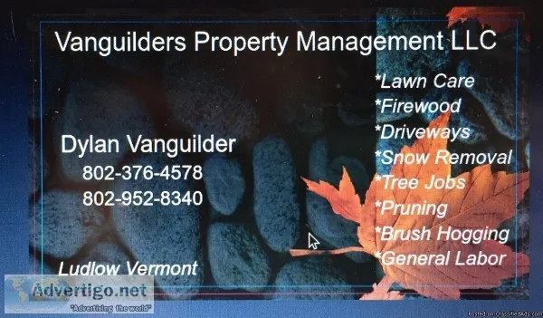 Vanguilders property management LLC