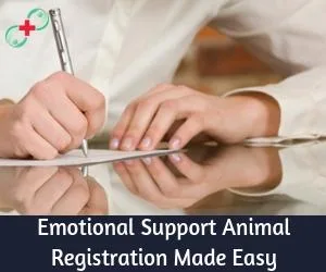 Emotional Support Animal Registration Made Easy
