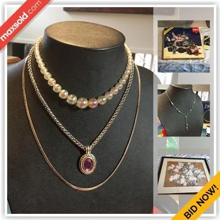 Toronto Downsizing Online Auction - Aintree Court