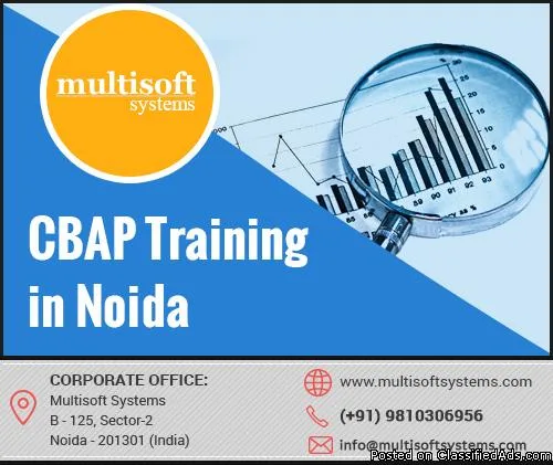 CBAP Training in Noida