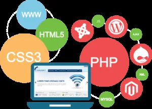 Top Dynamic Websites Designing Company in Delhi MCM Infotech