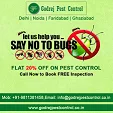 Godrej pest control Gurgaon call now 91-9811381458