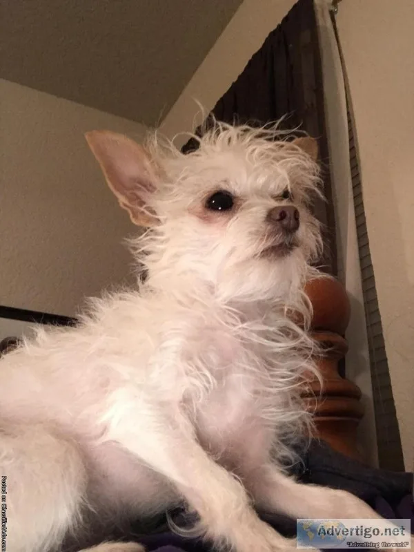 Missing in Killeen
