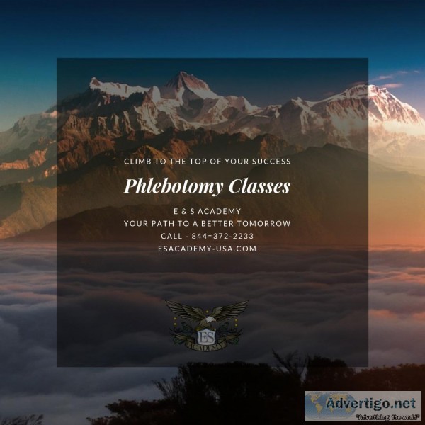 Climb to Success - Phlebotomy Classes
