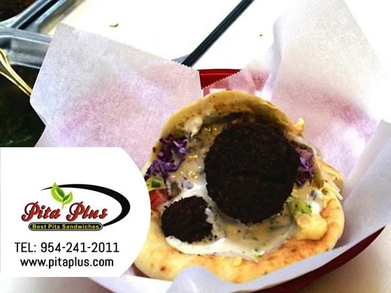 Delicious Middle Eastern Food Falafel- Pita Plus.