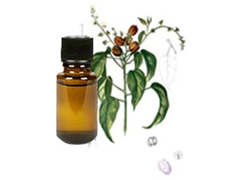 Buy the Top Quality Croton Oil at Reasonable Prices