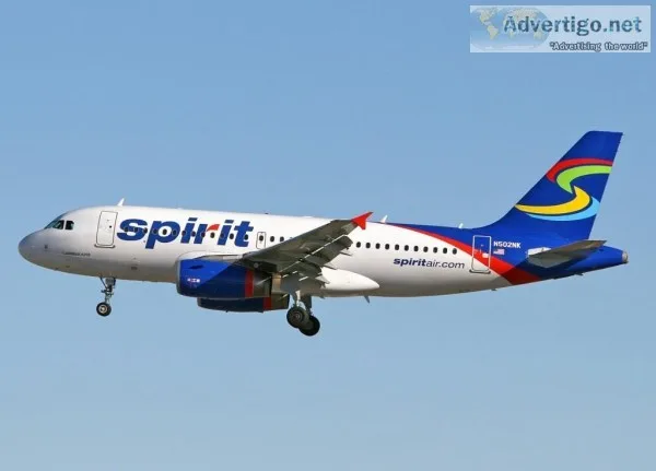 Get the Best Air Deals on the Spirit Airlines Tickets Counter