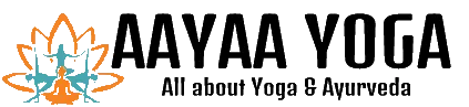 Yin Yoga Certification In India - AAYAA YOGA