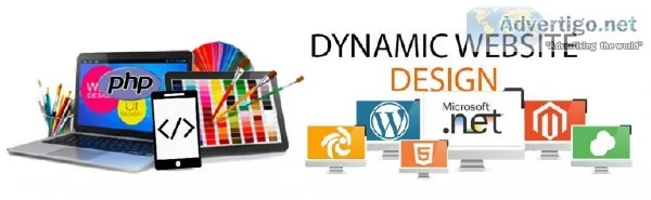 Best Dynamic Website Design Company  Web Designing  Kuchvi.in