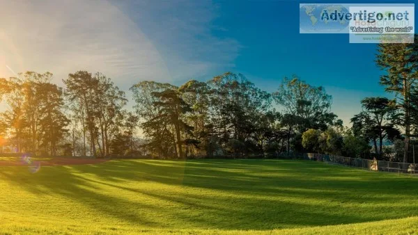 BUY AGRICULTURE FARM PLOTS IN BANGALORE FARM ORGANICALLY