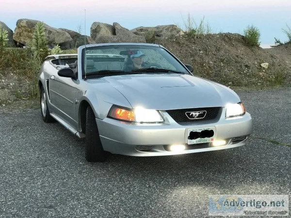 2004 Mustang Convertible