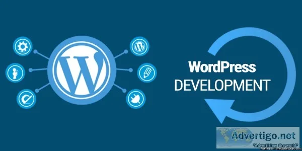 wordpress training institute in delhi