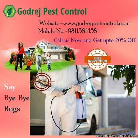 Pest control in Delhi Dial 91- 9811381458