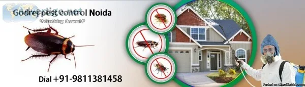 Call us 91- 9811381458 Pest control in Delhi