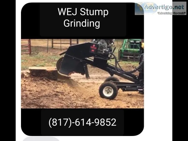 WEJ Stump grinding
