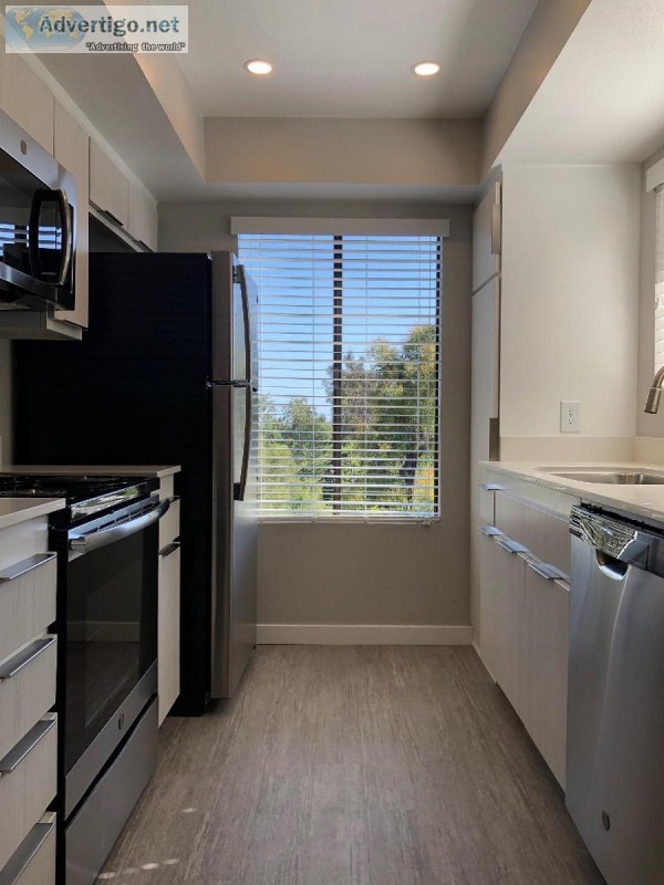 Lease Today and The First 6 Weeks Are On Us