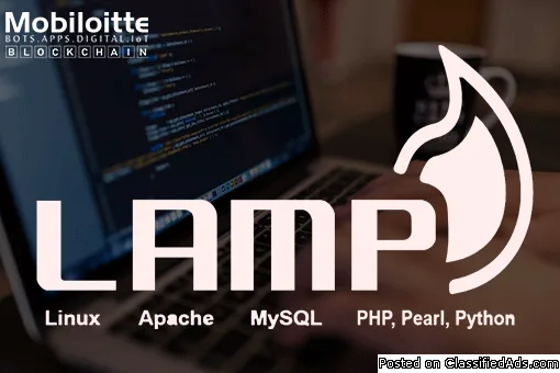 LAMP Development Company