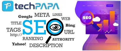SEO Company in Noida at Techpapa