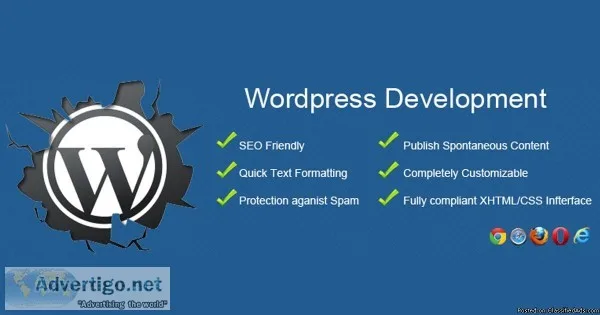 advanced wordpress training