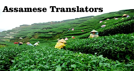 Assamese translation Service in Delhi