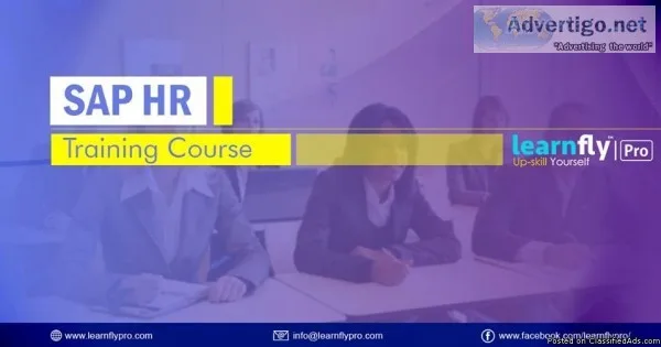 Best SAP HR Training institute in delhi-learnflypro