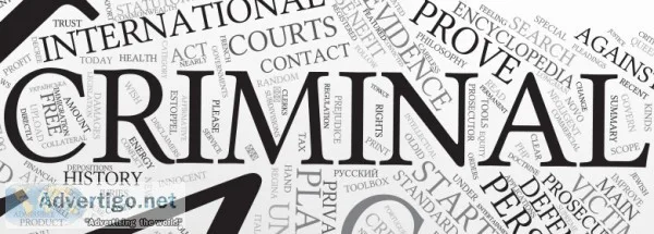 Criminal Defense Lawyer  King Aminpour