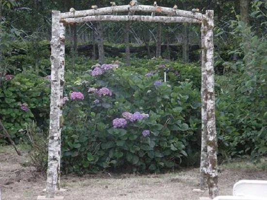 Renowned Birch Arch Rental Firm in Milwaukee