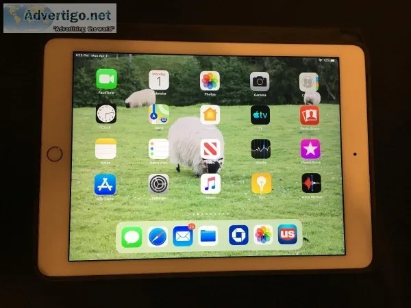 iPad Air 2 for sale