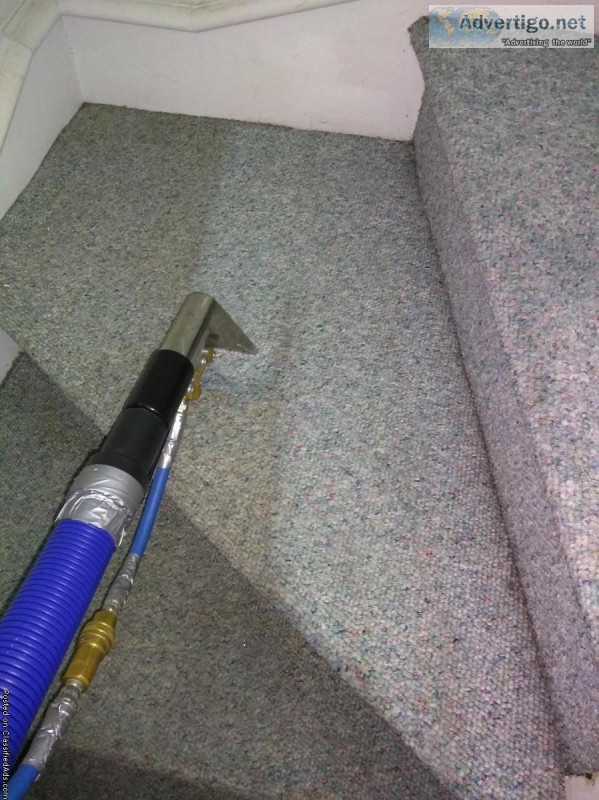 Eco Friendly Carpet Cleaning services