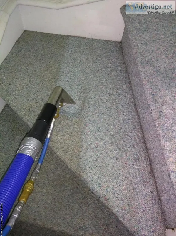 Eco Friendly Carpet Cleaning services